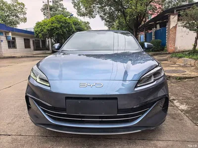 2024 BYD Seal 06 New Energy DM-i 80KM Prestige, фото 2, лот 10274292