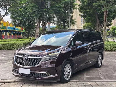 2020 Buick GL8 Avenir Six-Seat Elegance Edition, фото 1, лот 10385607