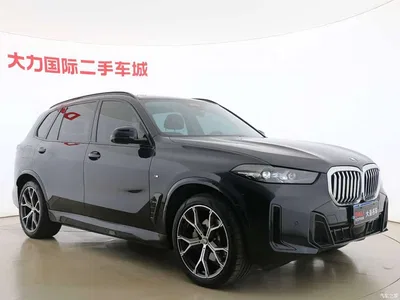 2023 BMW X5 xDrive 30Li Premium M Sport Package, фото 3, лот 10406088