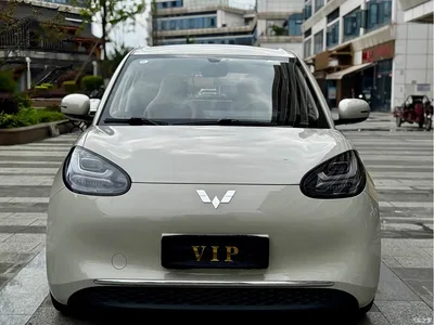 2024 Wuling Motors Wuling Bingo 333km Comfort Edition, фото 2, лот 11175125