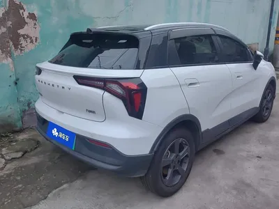 2022 Geely E Firefly 401KM Delicate Tiger 4-seater, фото 3, лот 11210906