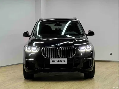 2022 BMW X5 Facelift xDrive 30Li Premium M Sport Package, фото 2, лот 10462747
