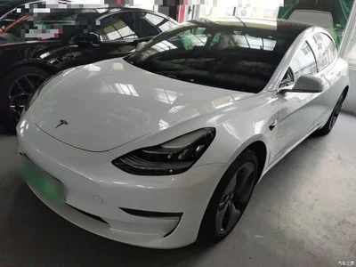 2019 Tesla Model 3 (Import) Long Range RWD Version, фото 1, лот 11188261