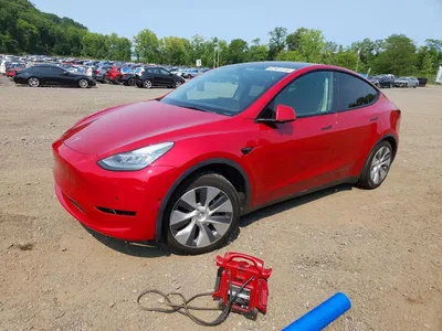2021 TESLA MODEL Y, фото 1, лот 10852760