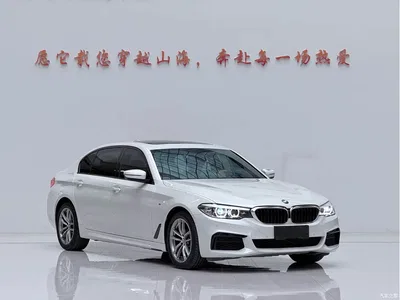 2019 BMW 5 Series Facelift 525Li M Sport Package, фото 3, лот 11460557