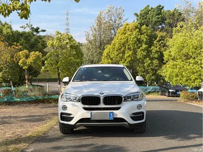 2015 BMW X6 xDrive35i Luxury Model, фото 2, лот 10237482