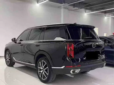 2025 GAC Trumpchi Trumpchi GS8 Pilot Series 2.0TGDI 2WD Luxury Edition 5-seater, фото 4, лот 10420205
