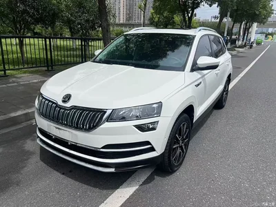 2019 Škoda Karoq TSI280 Smart Drive Premium Edition China VI, фото 1, лот 11188583