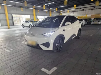 2025 BYD Seagull Smart Drive Edition 305km Freedom Version, фото 2, лот 10262744