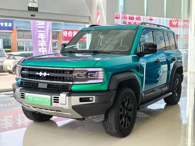 2023 Byd Leopard 5 Pilot Edition, фото 1, лот 10828665