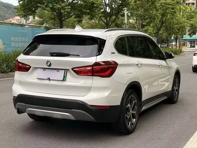 2018 BMW X1 New Energy xDrive25Le Luxury Model, фото 4, лот 10475368