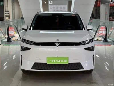 2023 Venucia VX6 520 Pro, фото 2, лот 10481187