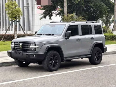 2021 Tank 300 Off-road Version 2.0T Conqueror, фото 1, лот 10765579