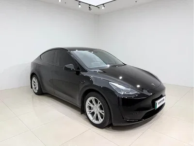 2022 Tesla Model Y Facelift Rear-Wheel Drive Version, фото 3, лот 11580633