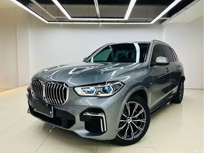 2022 BMW X5 xDrive 30Li Premium M Sport Package, фото 1, лот 10462541