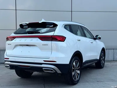 2023 Haval H6 National Trend Edition 1.5T Automatic Champion, фото 2, лот 10300952