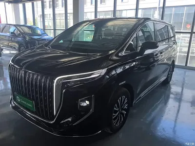 2024 Hongqi HQ9 PHEV Model 2.0T AWD Business Edition, фото 1, лот 10289822