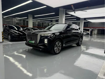 2021 Hongqi E-HS9 510km Flagship Comfort 6-seater, фото 1, лот 10621374