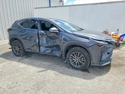 2024 LEXUS NX 250 PREMIUM, фото 4, лот 10848671
