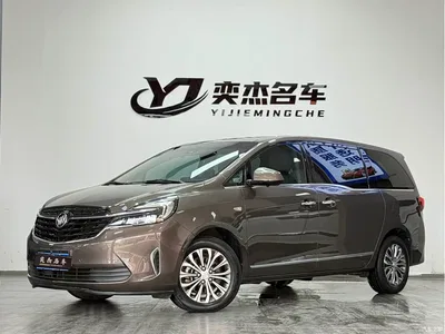 2022 Buick GL8 Land Business Class 652T Comfort, фото 1, лот 11194356