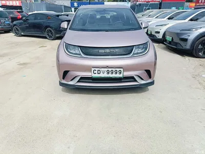 2023 BYD Dolphin 420km Fashion Edition, фото 1, лот 11313747