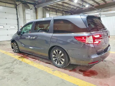 2024 HONDA ODYSSEY EXL, фото 2, лот 10715245