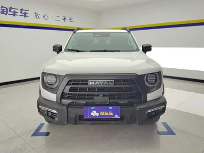 2024 Haval Big Dog 2.0T DCT Chinese Rural Dog Edition, фото 2, лот 11134403