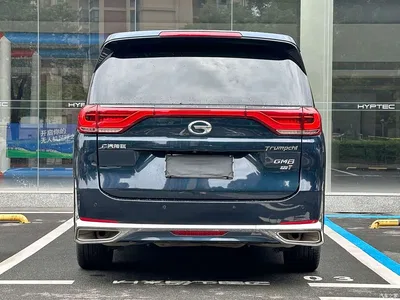 2018 GAC Trumpchi Trumpchi M8 320T Flagship Edition, фото 4, лот 10416703