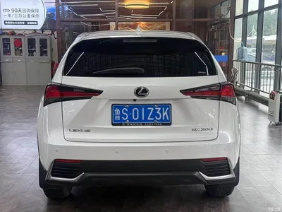2020 Lexus NX 200 FWD Fengyi Edition China VI, фото 4, лот 10318850