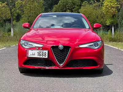 2017 Alfa Romeo Giulia 2.0T 200HP Luxury Edition, фото 2, лот 10376105