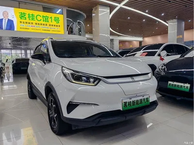 2021 BYD Yuan Pro 401KM Premium Model, фото 3, лот 10396774