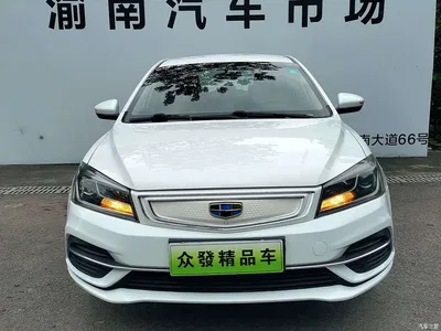 2018 Geely Emgrand New Energy EV450 Progressive, фото 3, лот 11502266