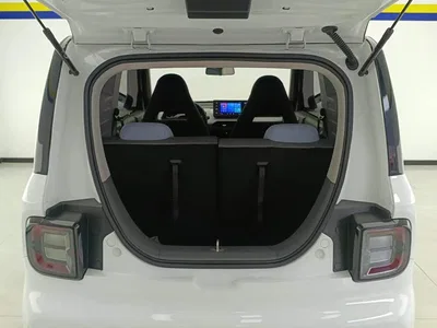 2024 Geely Galaxy Panda mini 200km Endurance Bear, фото 4, лот 10428848