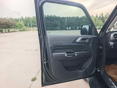 2024 Tank 300 Model 2.0T Challenger, фото 4, лот 10345174