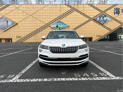 2022 Škoda Karoq TSI280 Luxury Edition, фото 3, лот 10348461
