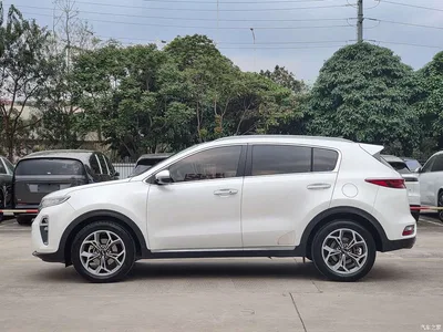 2019 Kia KX5 1.6T Automatic 2WD Luxury Edition, фото 4, лот 10332423
