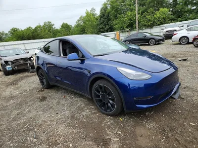 2023 TESLA MODEL Y, фото 4, лот 10801243