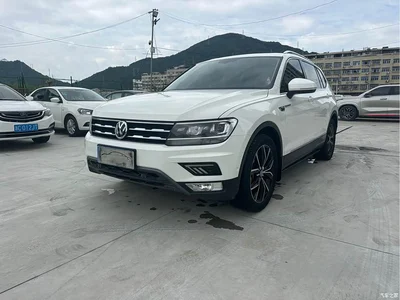 2019 Volkswagen Tiguan L 330TSI Automatic 2WD Smart Luxury Edition China VI, фото 1, лот 10605557