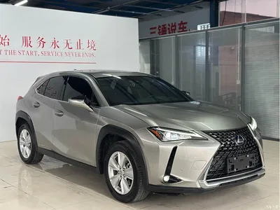 2020 Lexus UX 260h Explore Fun Edition China V, фото 3, лот 11102627