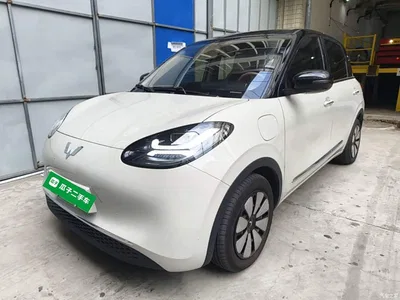2025 Wuling Motors Wuling Bingo Model 333km Smart Connect, фото 2, лот 10453754
