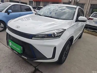 2022 Cowin Xuanjie Pro EV 401km Joy Edition, фото 2, лот 11218340