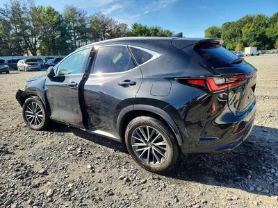 2023 LEXUS NX 350H, фото 2, лот 10848235