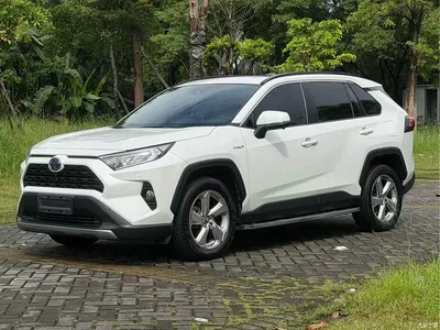 2020 Toyota RAV4 Rongfang Hybrid 2.5L E-CVT 2WD Elite Edition, фото 1, лот 10271125