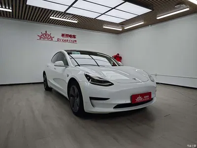 2019 Tesla Model 3 Standard Range Rear-Wheel Drive Upgrade, фото 2, лот 10346185
