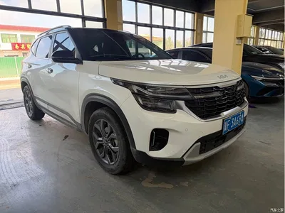 2023 Kia Seltos 1.5L CVT Luxury Edition, фото 3, лот 11218286