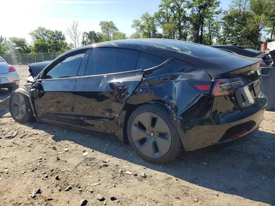 2023 TESLA MODEL 3, фото 2, лот 10856452