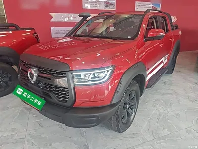 2020 Great Wall Pao 2.0T Off-road Automatic Diesel 4WD Premium Edition GW4D20M, фото 1, лот 10246304