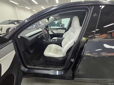 2025 Tesla Model Y Rear-Wheel Drive, фото 4, лот 11074382