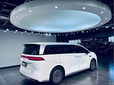2025 BYD Xia DM-i 1.5T 180km Surpass Edition, фото 3, лот 11548458