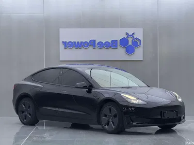 2022 Tesla Model 3 Model Rear-Wheel Drive Version, фото 3, лот 10364983